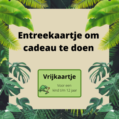 Entreekaartje kind om cadeau te doen