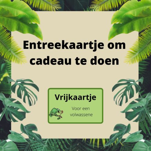 Entreekaartje volwassene om cadeau te doen