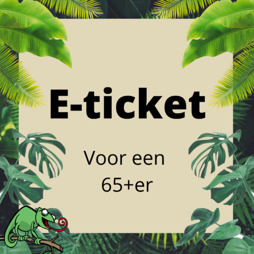Entreebewijs 65+ (e-ticket)