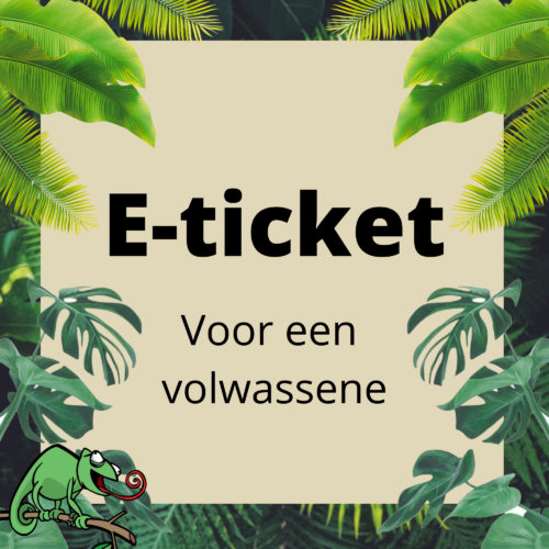 Entreebewijs volwassene (e-ticket)